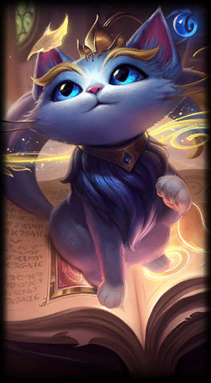 球队管理层 球队管理层